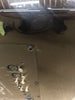 SB13-Ultra - Piano - Outlet - 9061