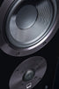 Surround Speaker in Piano Gloss Black