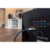 SVS SoundPath RCA Audio Interconnect Cable